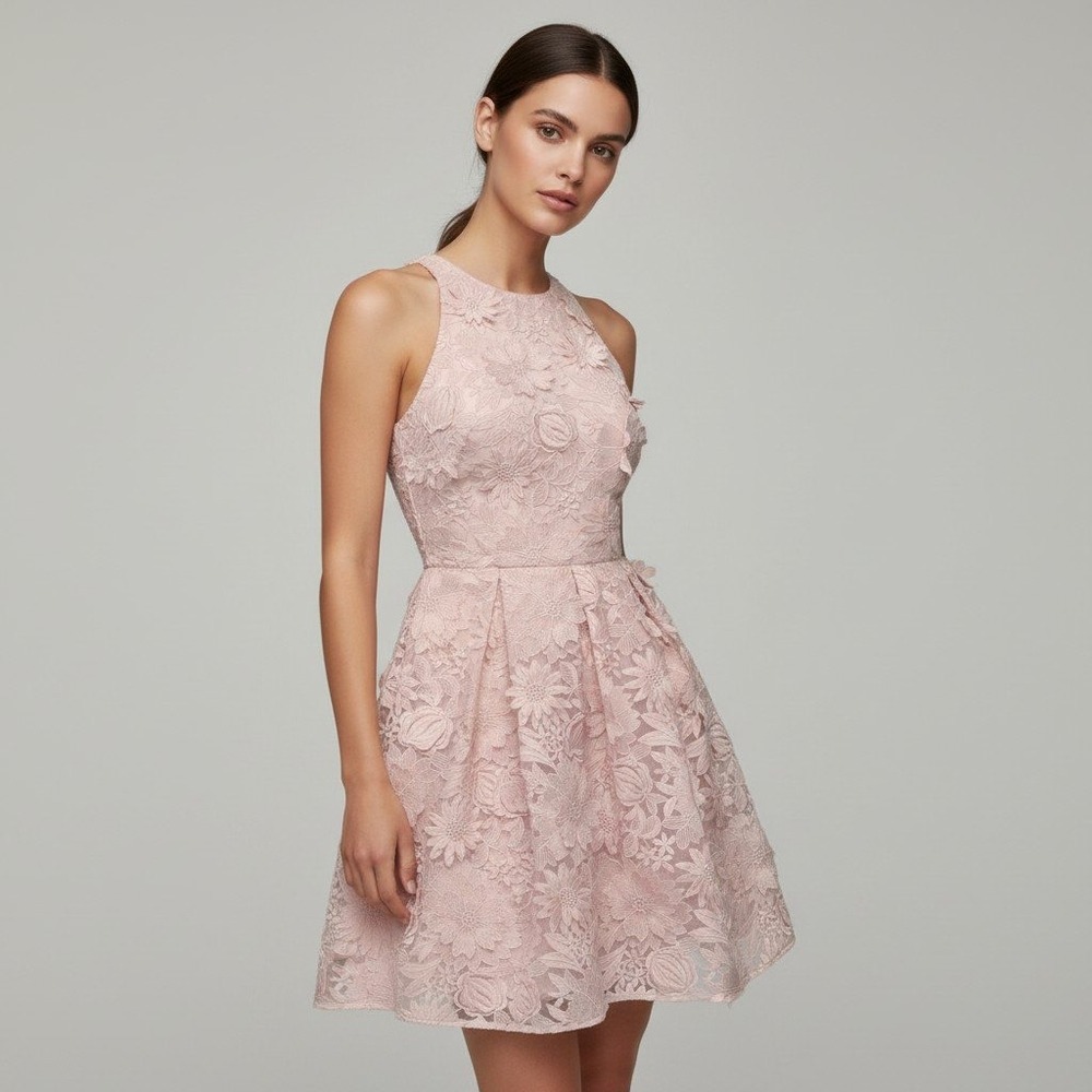 Ted Baker London Sweetee Lace A-Line Skater Dress Baby Pink Floral Size 0 US XS